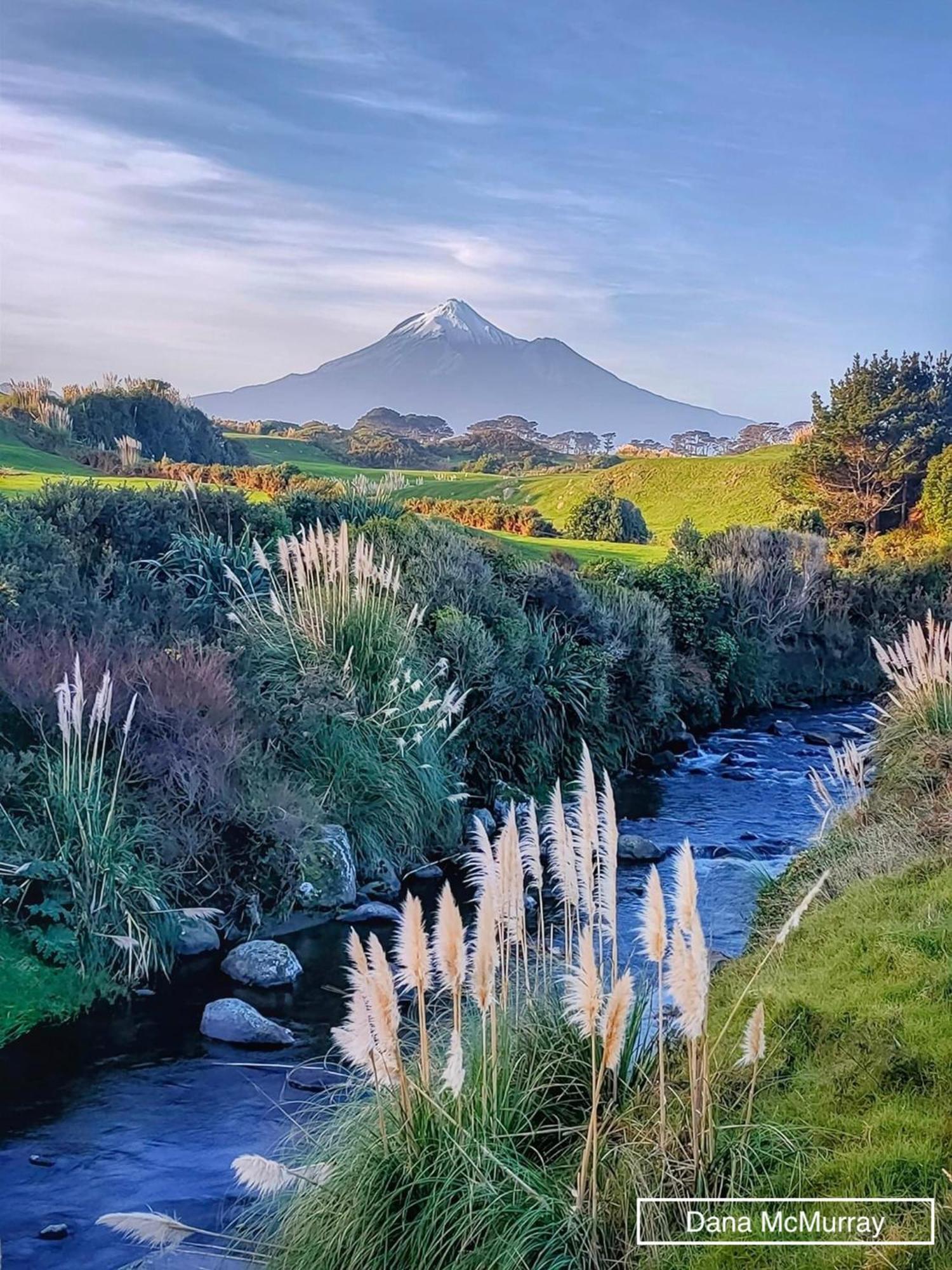 Bed and Breakfast Escape New Plymouth Exterior foto